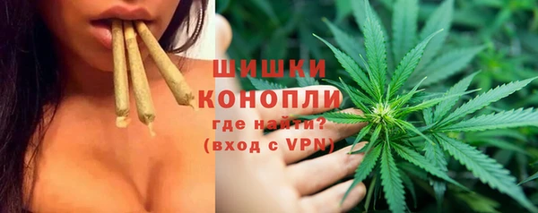 тгк Белокуриха