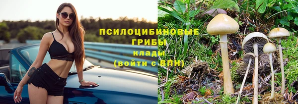 mix Богородицк