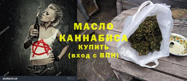 mix Богородицк