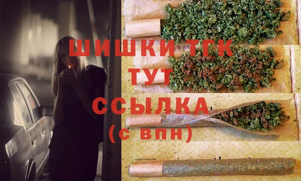 mix Богородицк