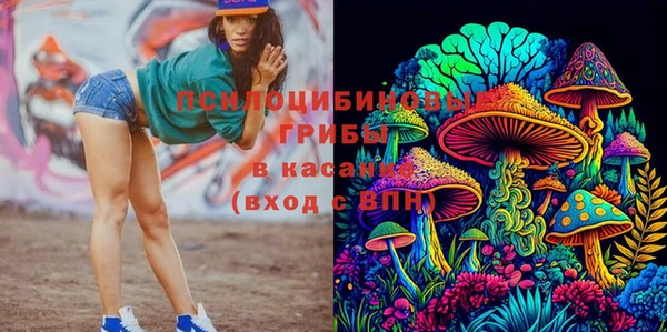 MESCALINE Богданович