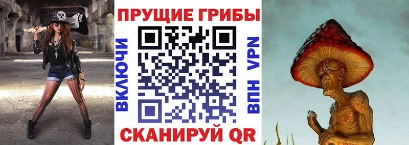 Псилоцибиновые грибы GOLDEN TEACHER  Малоархангельск 